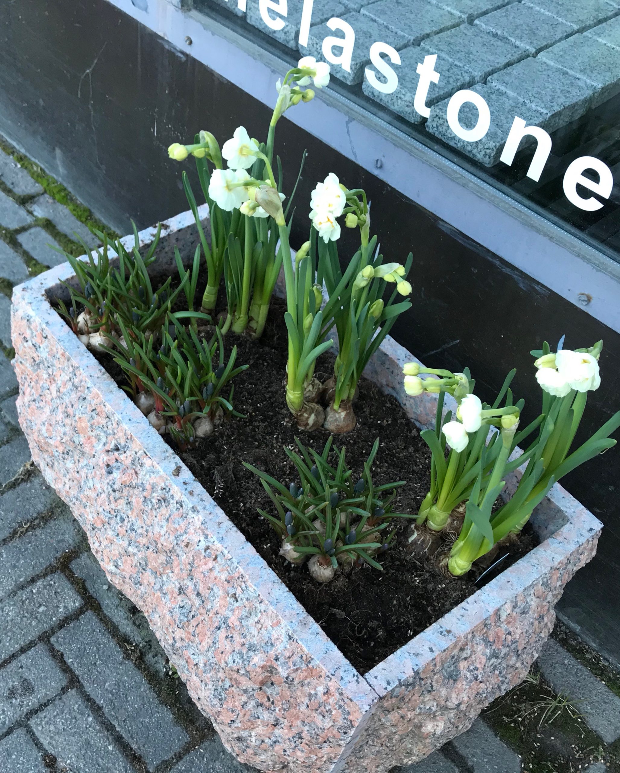 Kiviruukku graniittia - Image 15