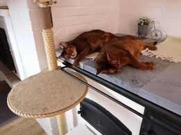 Puulieden kansipatteristo - Image 3