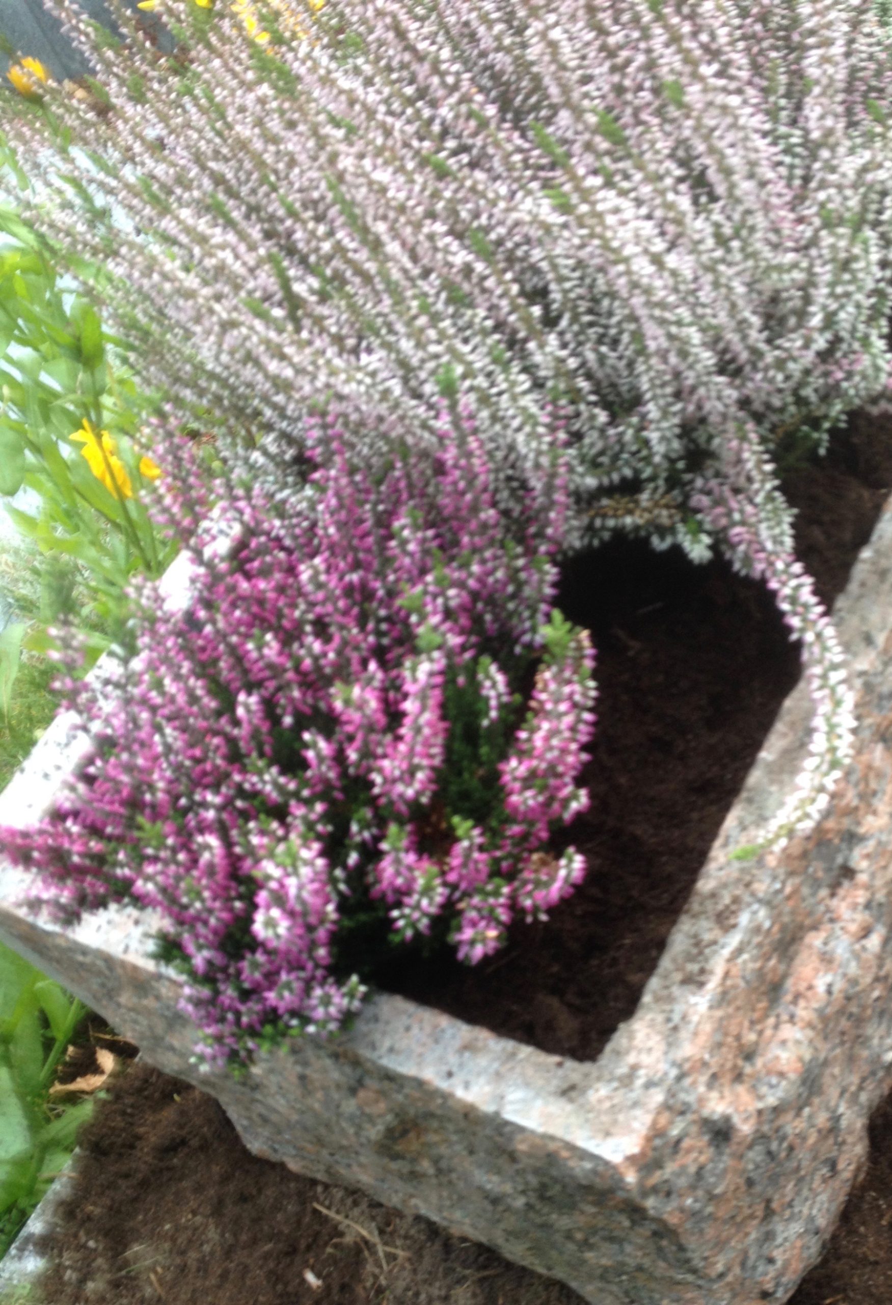 Kiviruukku graniittia - Image 8