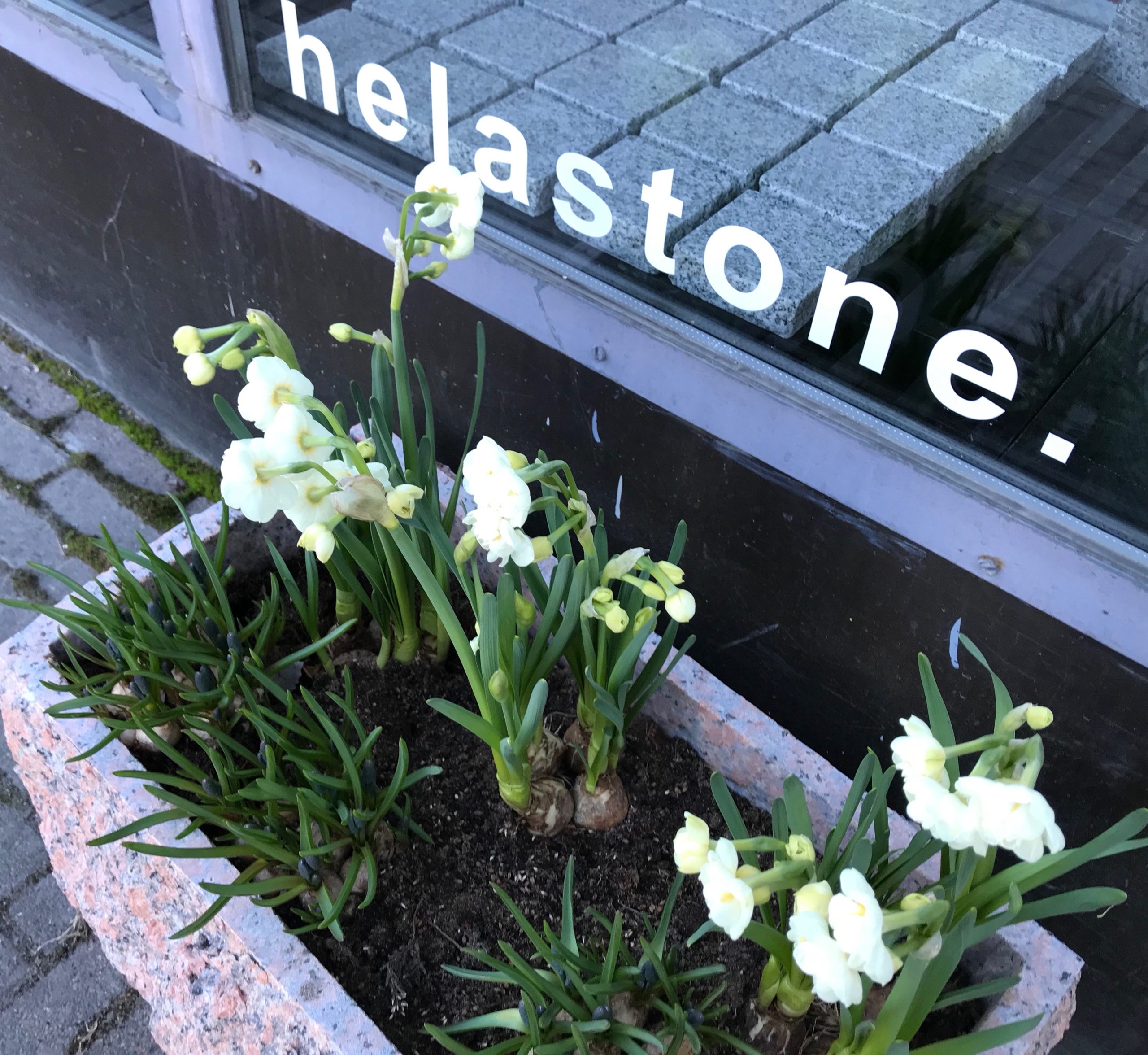 Kiviruukku graniittia - Image 13