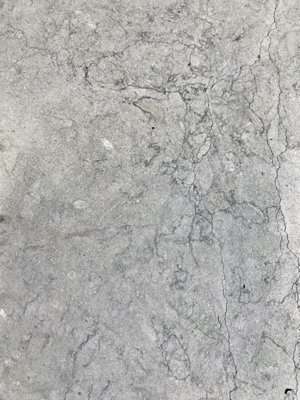 Thala Grey Oriental - Image 4