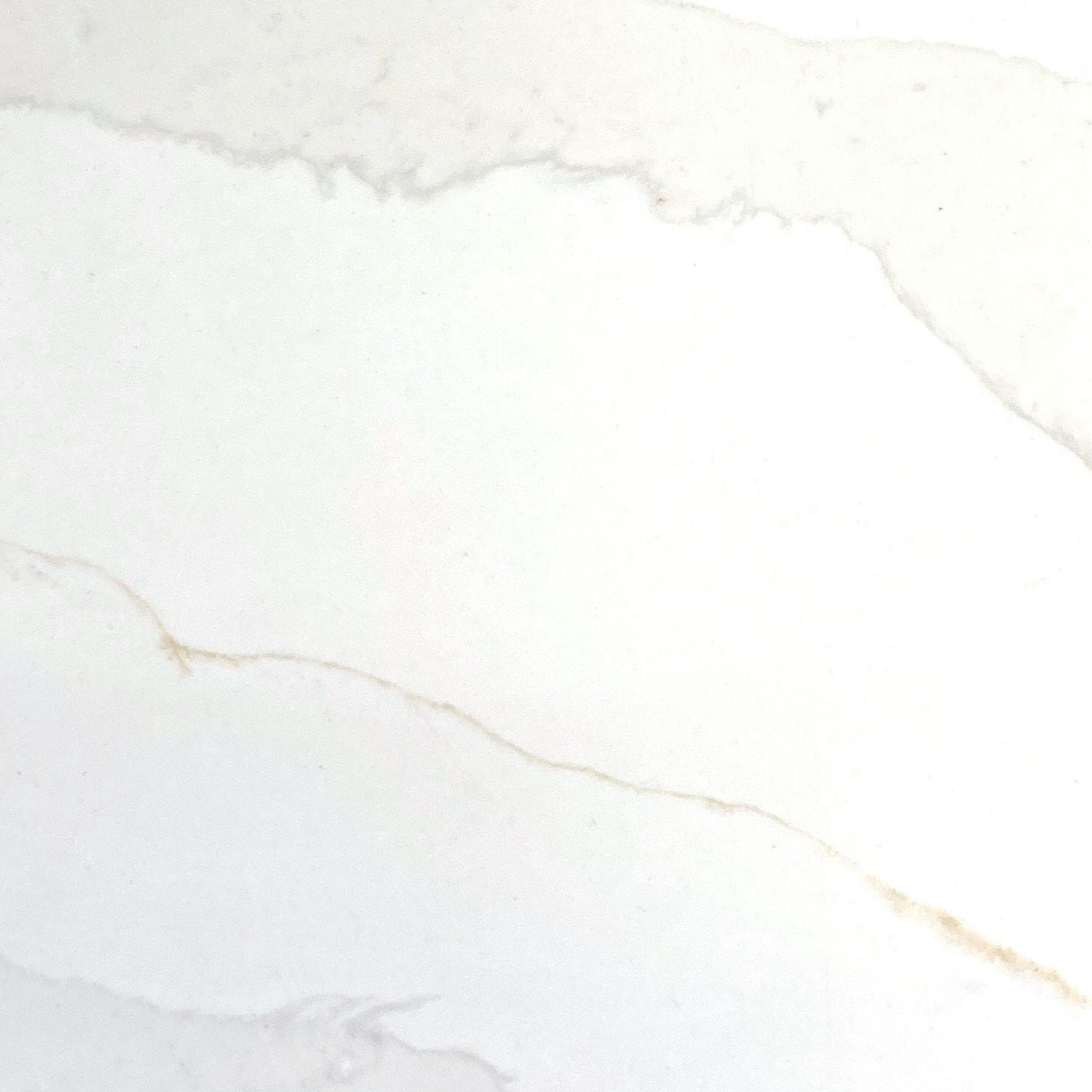 Calacatta Gold - Image 27