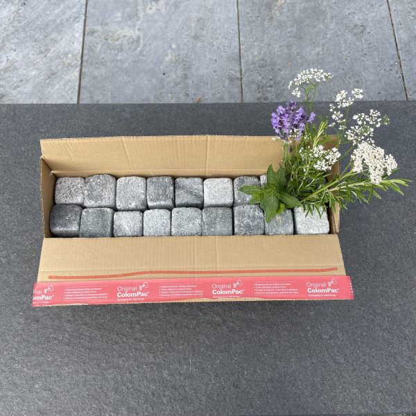 Vuolukivinopat, antiikki pinta - Image 2