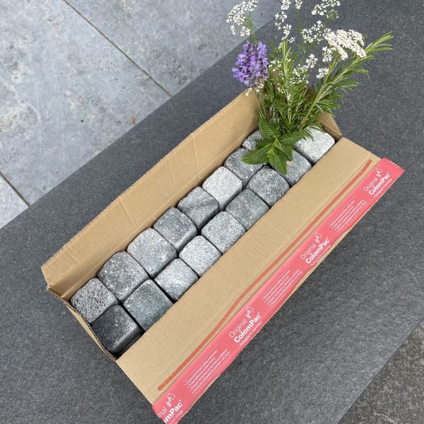 Vuolukivinopat, antiikki pinta - Image 5