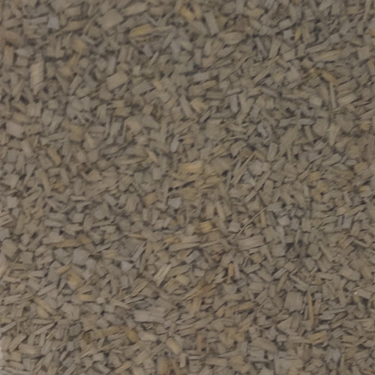 Woodio-mallipalatilaus - Image 7